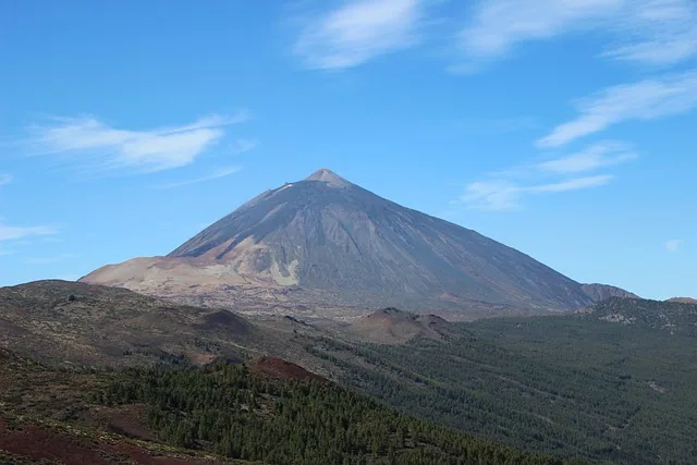 Teide sett fra furuskogen i nasjonalparken